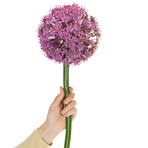 Artículo Flor de allium artificial, cebolla ornamental, elegante decoración de habitación, 90 cm
