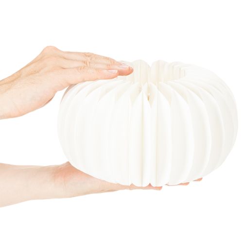 Anillo de papel de nido de abeja redondo grande con forma de calabaza para flores secas y decoración otoñal, 24 cm, 4 unidades. | Floristik24.es
