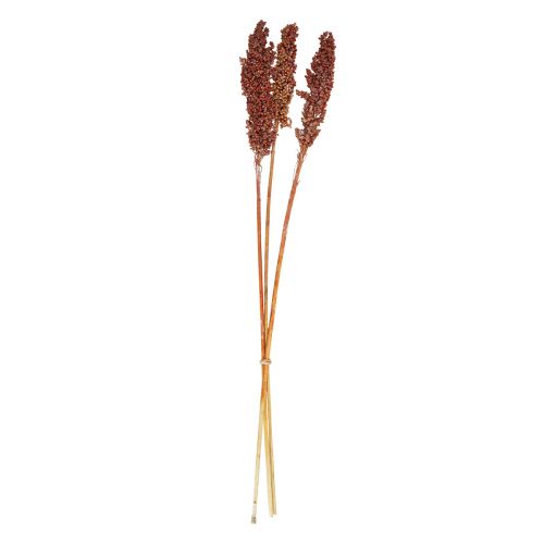 Flores Secas Sorgo Mijo Naranja Flores Secas 70cm 3pcs