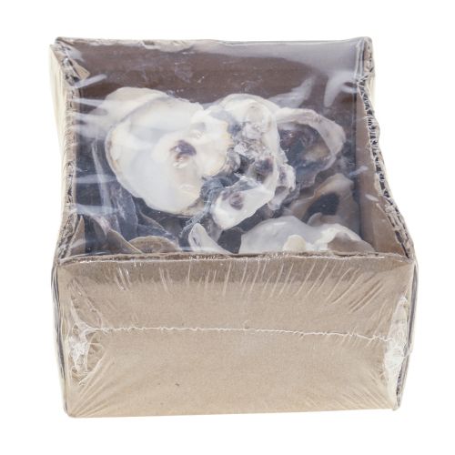 Floristik24 Conchas de ostra deco conchas decoración natural 2-6cm 250g