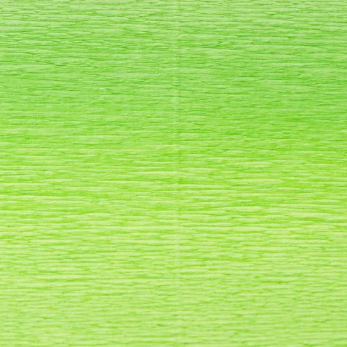 Artículo Papel crepé floristería verde claro 50x250cm