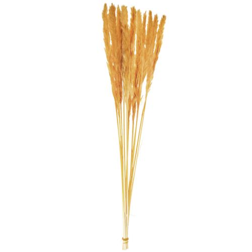 Artículo Decoración de hierba de pampa, hierba de pampa seca hierba de pampa amarilla 74cm 10 piezas