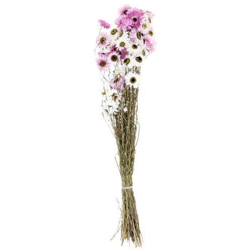 Artículo Flores secas Flores de paja rosadas blancas 40-45cm 30g