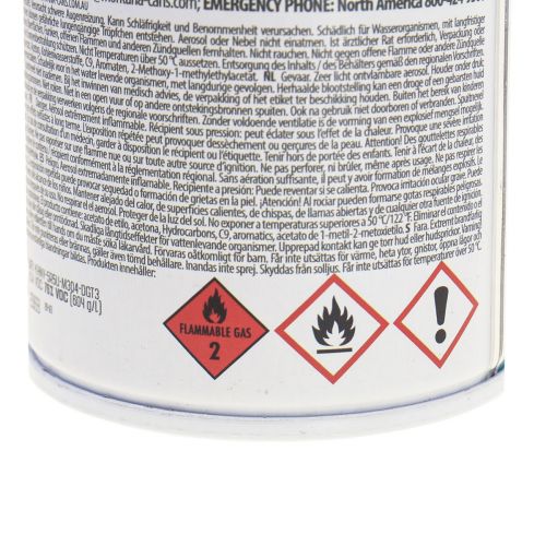 Floristik24 Pintura vidrio spray efecto spray pintura vidrio coral mate 250ml