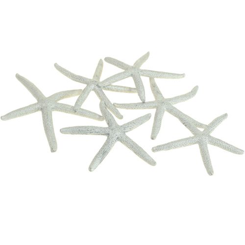 Estrella de mar plateada decoración marítima estrella de mar decoración de verano 7,5 cm 10 piezas