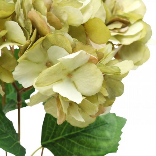 Floristik24 Ramo de hortensias verde artificial, marrón 5 flores 48cm