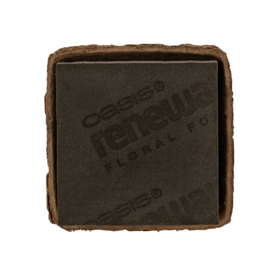 Espuma floral 1/2 ladrillo OASIS® Renewal® Espuma floral Biolit® 12cm 2S comprar | Floristik24.es