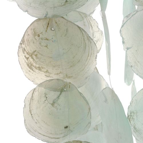 Carillón de viento Capiz decoración colgante decoración concha verde Ø29cm 160cm