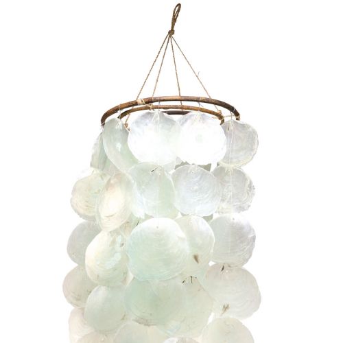 Floristik24 Carillón de viento Capiz decoración colgante decoración concha verde Ø29cm 160cm