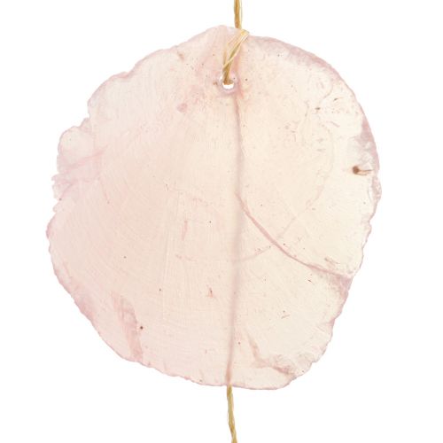 Floristik24 Guirnalda de conchas guirnalda de conchas de nácar Capiz rosa L108cm