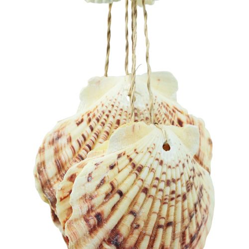 Floristik24 Conchas decorativas colgantes maritimo Campanilla de viento maritimo 74cm