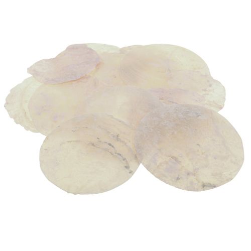 Artículo Conchas Capiz discos de nácar conchas decorativas rosa claro Ø8cm