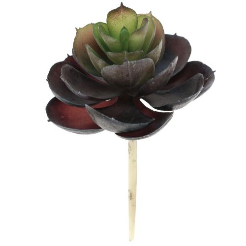 Plantas Verdes Artificiales Echeveria Suculentas Ø7cm 12cm 6uds