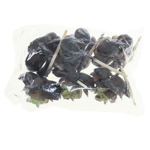 Artículo Plantas Verdes Artificiales Echeveria Suculentas Ø7cm 12cm 6uds