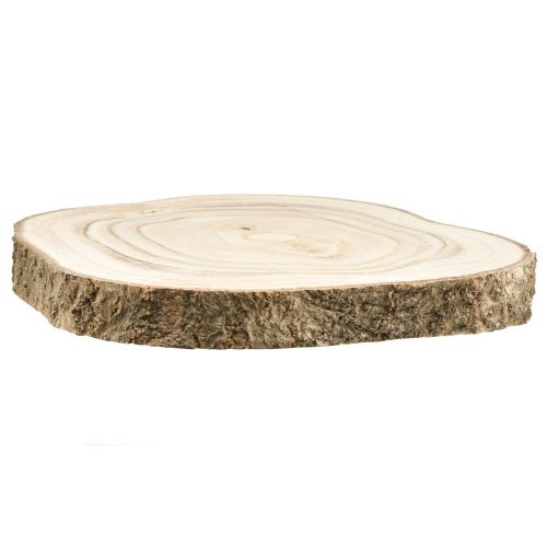 Artículo Rodaja de árbol campanilla natural Ø20-25cm 1 pieza