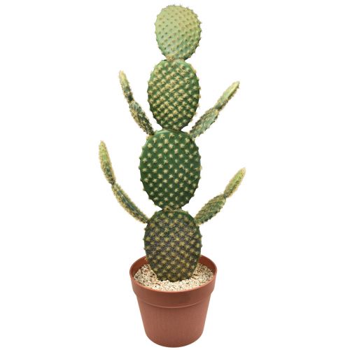 Floristik24 Cactus decorativo planta artificial en maceta tuna 64cm