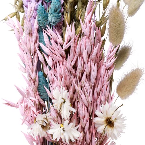 Artículo Ramo de flores secas flores de paja Phalaris grano 58cm