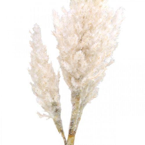 Artículo Pampas grass blanco crema césped artificial seco decoración 82cm