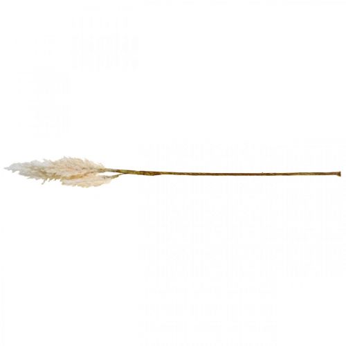 Floristik24 Pampas grass blanco crema césped artificial seco decoración 82cm