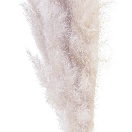 Floristik24 Hierba de pampa decoración floristería seca natural seca 100cm