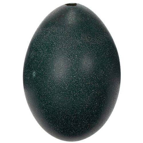 Artículo Decoraciones Emuei para la decoración festiva del hogar y detalles elegantes para Pascua.