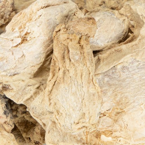 Artículo Jengibre Seco Decoración Natural Decoración 500g