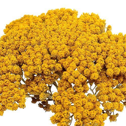 Artículo Achillea 1kg natural