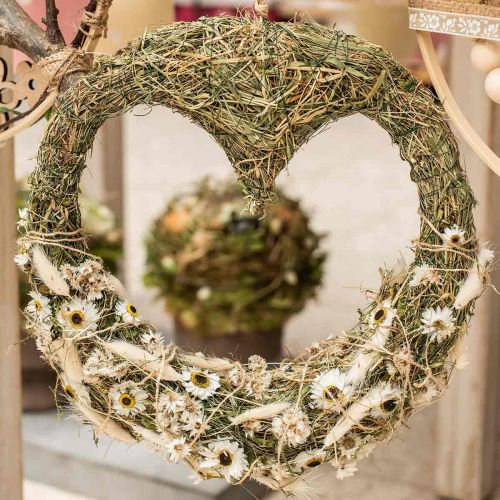 Floristik24 Acroclinium Blanco, plantas secas, flores de paja, floristería seca L20–40cm 25g