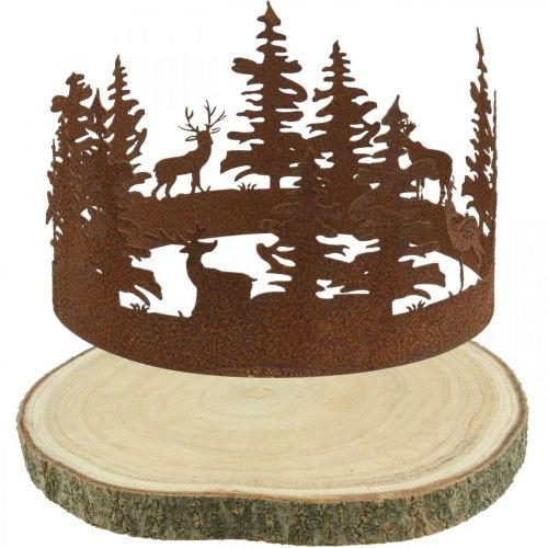 Floristik24 Ciervo Deco Bosque Pátina Deco Árbol Corteza Natural Ø25-27cm