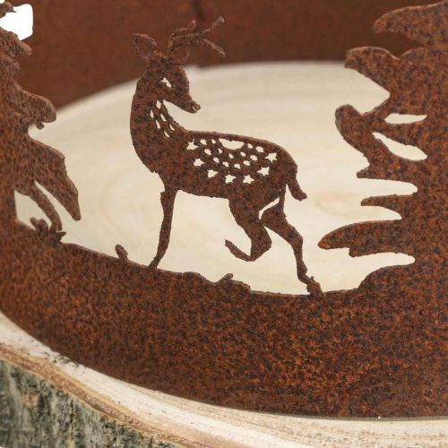 Ciervo Deco Bosque Pátina Deco Árbol Corteza Natural Ø25-27cm