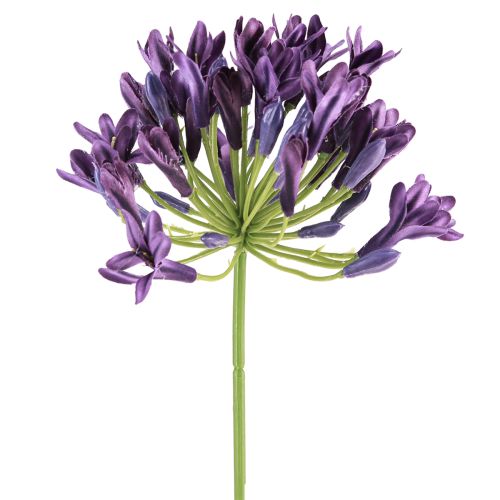 Artículo Flores artificiales de agapanto, lirios morados decorativos, 75 cm, 2 unidades