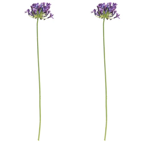 Artículo Flores artificiales de agapanto, lirios morados decorativos, 75 cm, 2 unidades