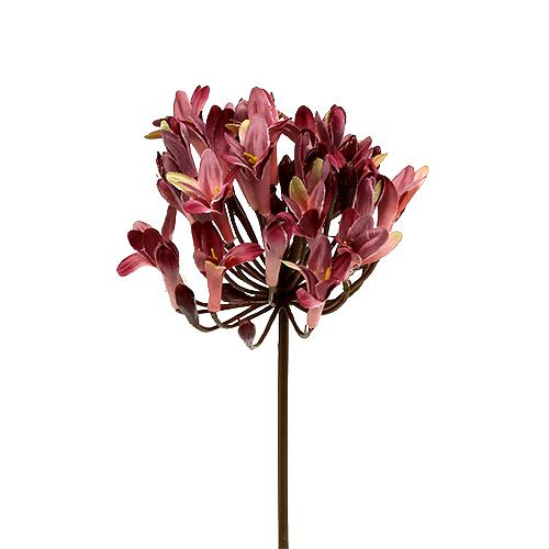  Agapanthus artificial rojo oscuro L75cm 3 piezas - comprar  barato en línea