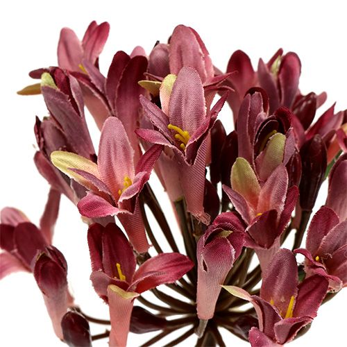 Floristik24 Agapanthus artificial rojo oscuro L75cm 3 piezas