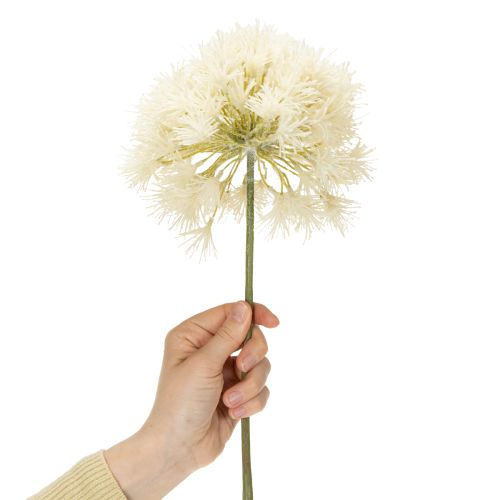Artículo Flor artificial Allium, diseño delicado para uso interior, 68cm