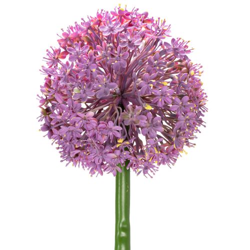 Floristik24 Flor de allium artificial, cebolla ornamental, elegante decoración de habitación, 90 cm