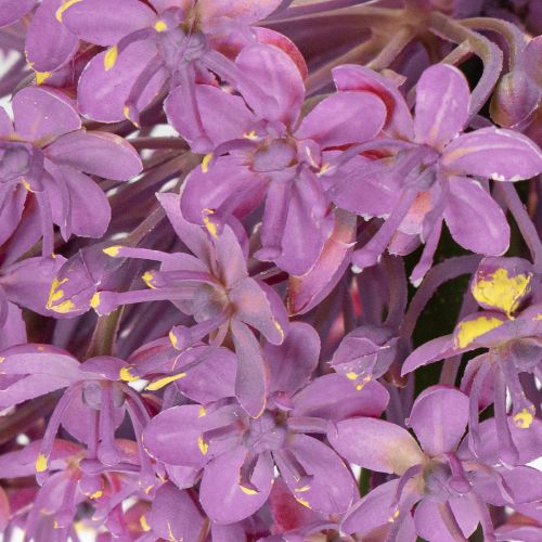 Artículo Flor de allium artificial, cebolla ornamental, elegante decoración de habitación, 90 cm