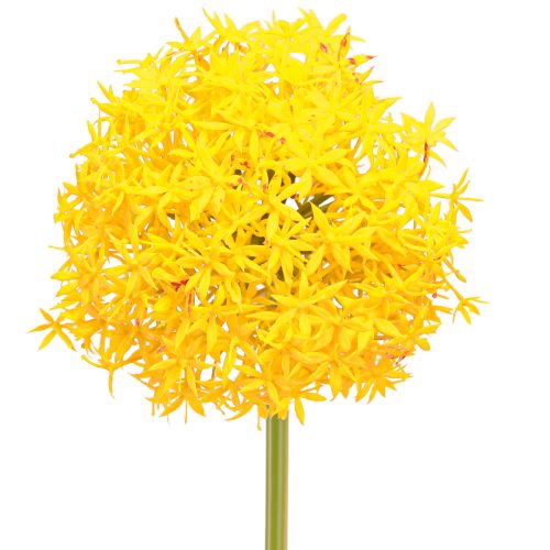 Artículo Cebolla Artificial Flor Amarilla Allium 80cm Ø14,5cm 2uds