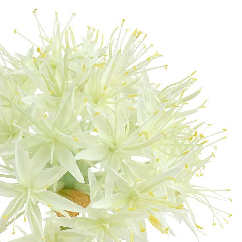 Artículo Allium crema blanca L76cm