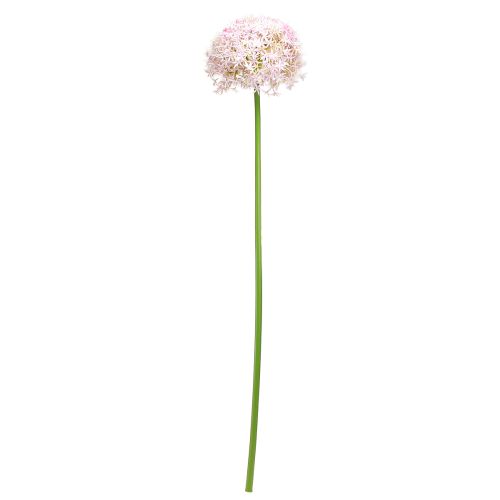 Artículo Allium con flores rosas cebolla artificial Ø18cm L90cm