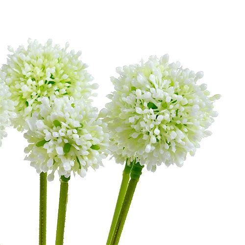 Artículo Allium 35cm Blanco 6pcs