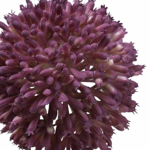 Floristik24 Ornamental allium artificial lila Ø8cm 58cm
