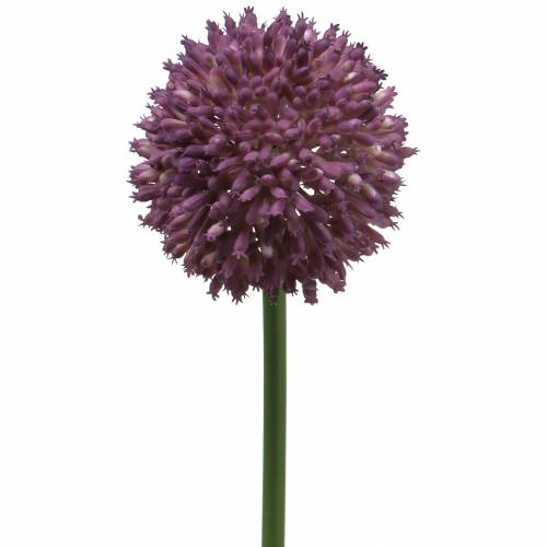 Floristik24 Ornamental allium artificial lila Ø8cm 58cm
