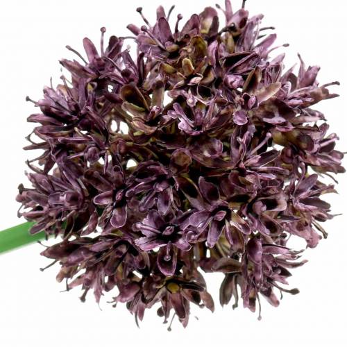 Floristik24 Allium ornamental artificial Púrpura Ø7cm A58cm 4piezas