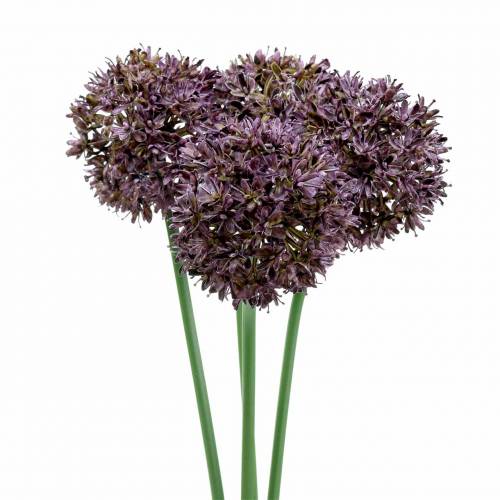 Floristik24 Allium ornamental artificial Púrpura Ø7cm A58cm 4piezas