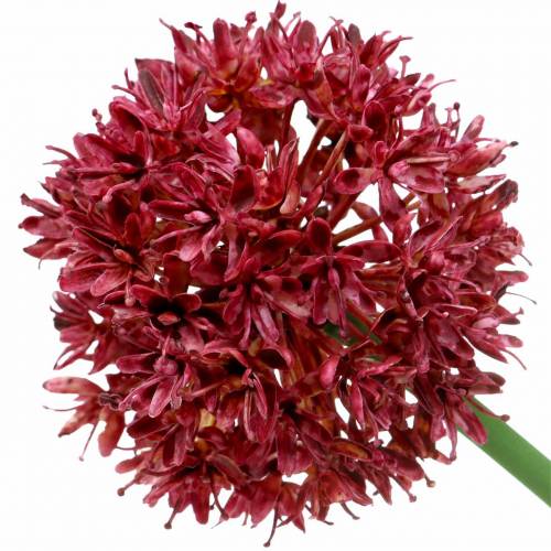 Artículo Allium ornamental artificial Malva Ø7cm A58cm 4piezas