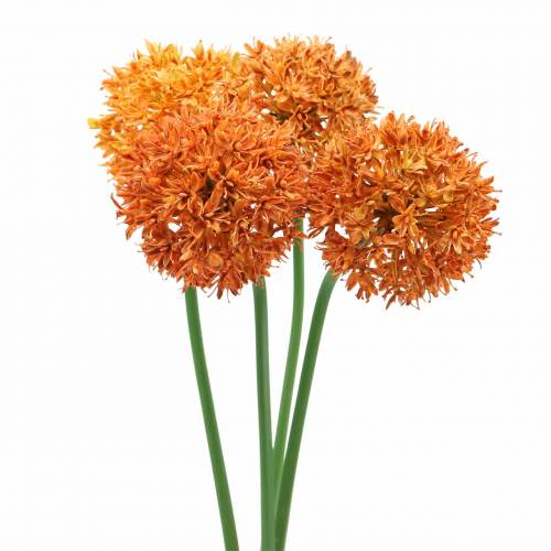 Floristik24 Cebolla ornamental Allium naranja artificial Ø7cm H58cm 4pcs