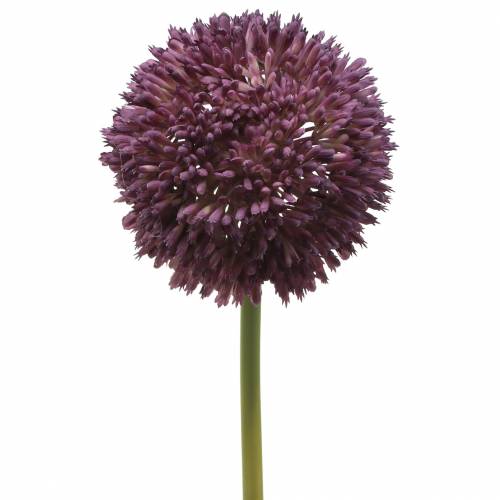 Floristik24 Ornamental allium artificial lila Ø12cm 65cm