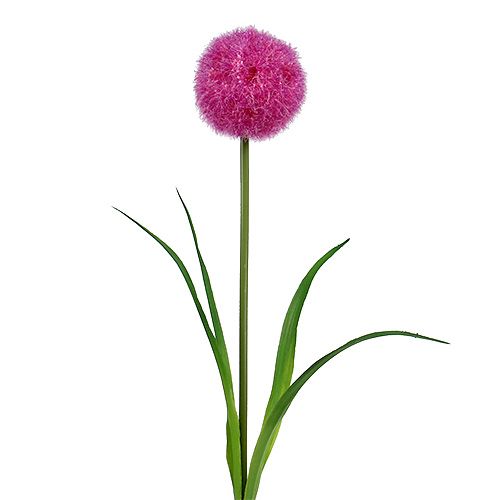 Floristik24 Allium 68cm rosa-violeta