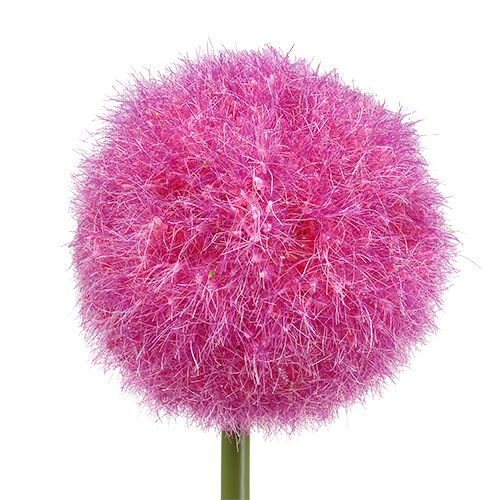 Floristik24 Allium 68cm rosa-violeta